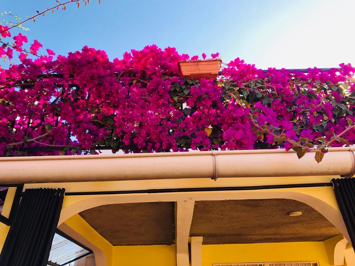 Talata-maty Petite Flower Guest House מראה חיצוני תמונה