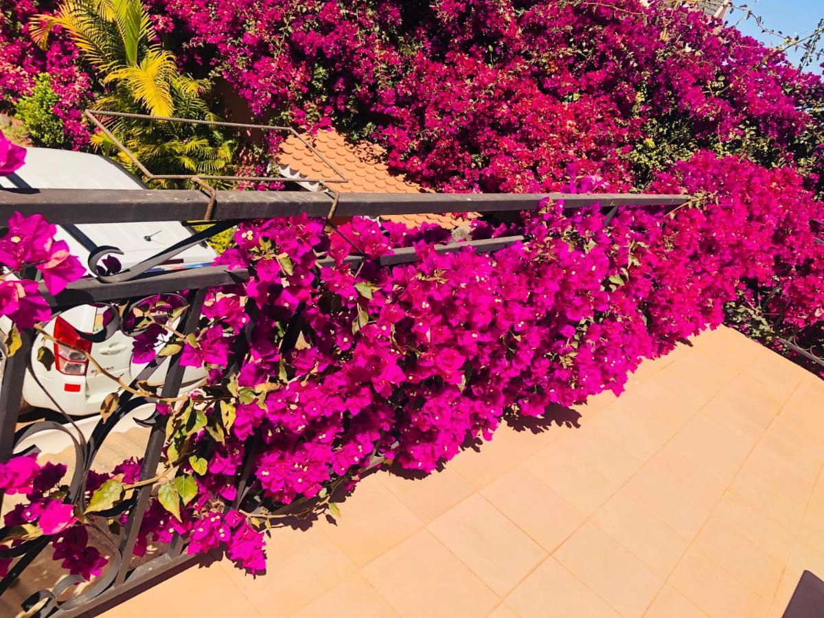Talata-maty Petite Flower Guest House מראה חיצוני תמונה